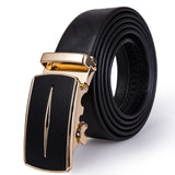 Genuine Leather Belt & Buckle Set