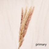 7Pcs Bulrush Natural Dried Small Pampas Grass Phragmites Artificial Plants Wedding Flower Bunch Fake Flowers