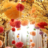 Govaz Wedding Decoration Event Accessories 20 25 30cm Pom Pom Tissue Paper Pompom Ball for Bridal Shower